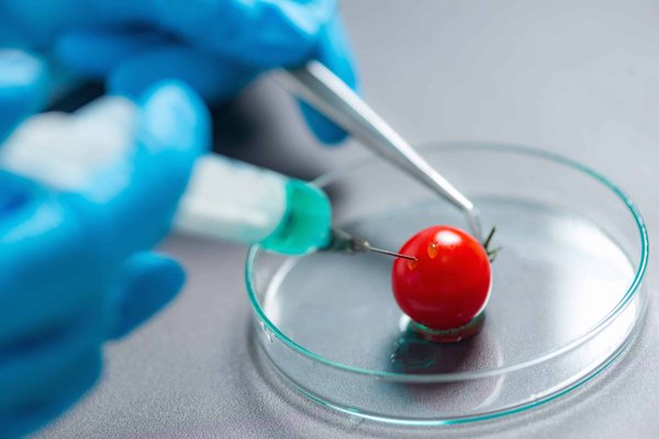 What Are the Best Aftermarket Performance Mods for a Lexus RX Hybrid?